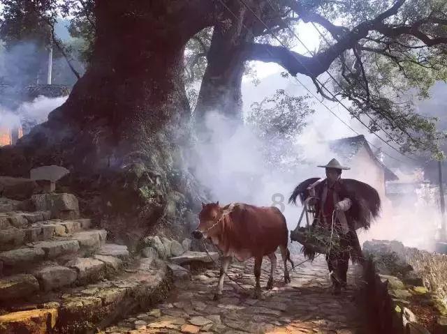 他是“到此一游”始作俑者,扶立秦昭王和燕昭王,可结局却很凄惨
