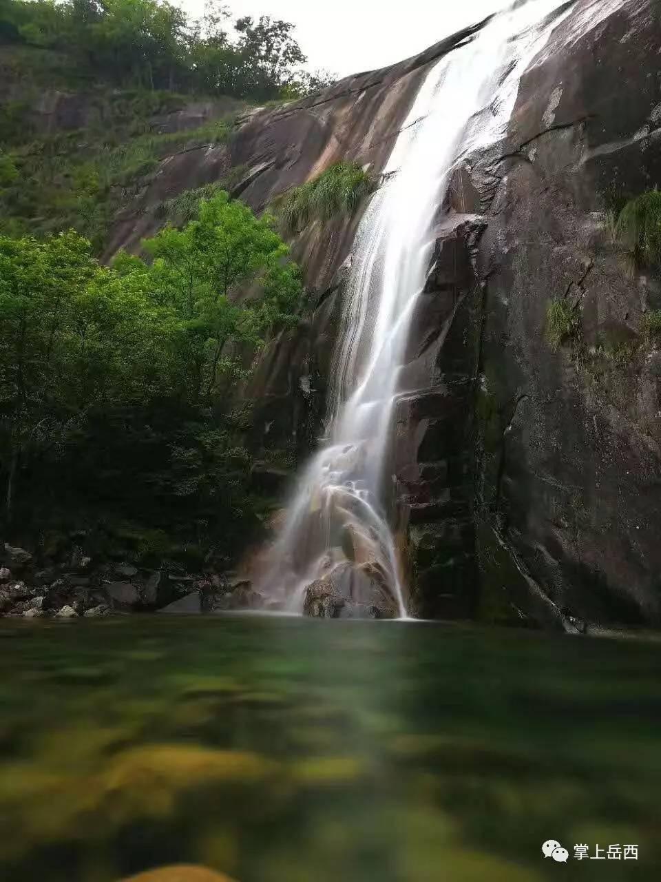 寻找火鸡
