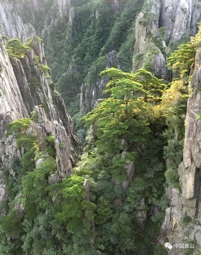 库尔勒:心理健康讲座为基层干部增添“心”活力