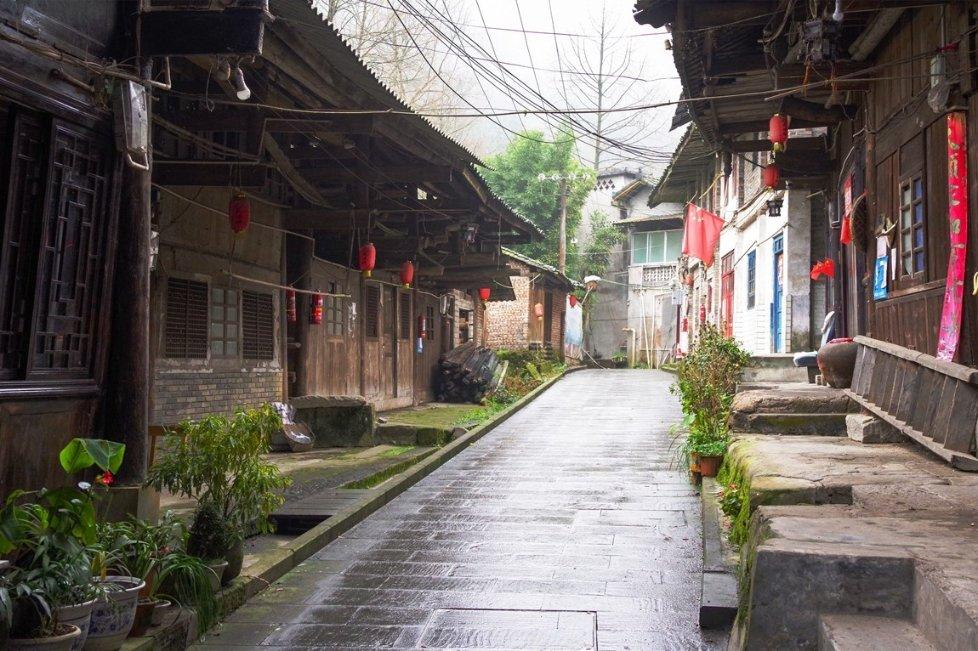 奔跑的兔子
